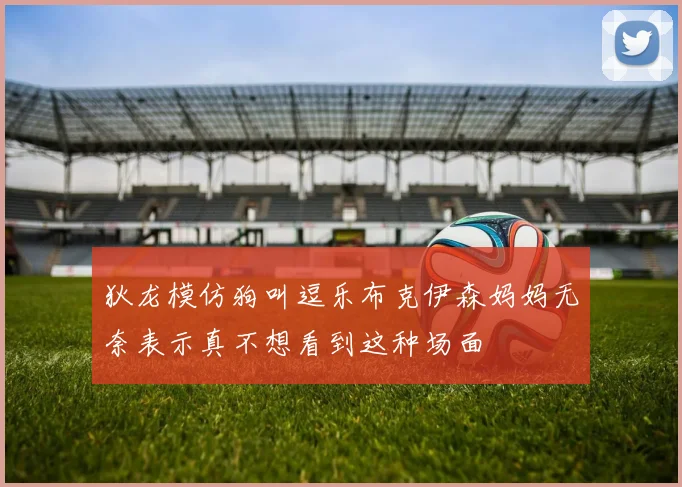 狄龙模仿狗叫逗乐布克伊森妈妈无奈表示真不想看到这种场面