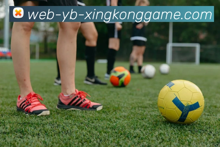 星空体育平台生态图